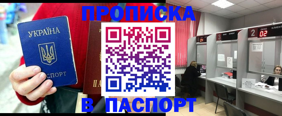 прописка 2025 в Звенигово